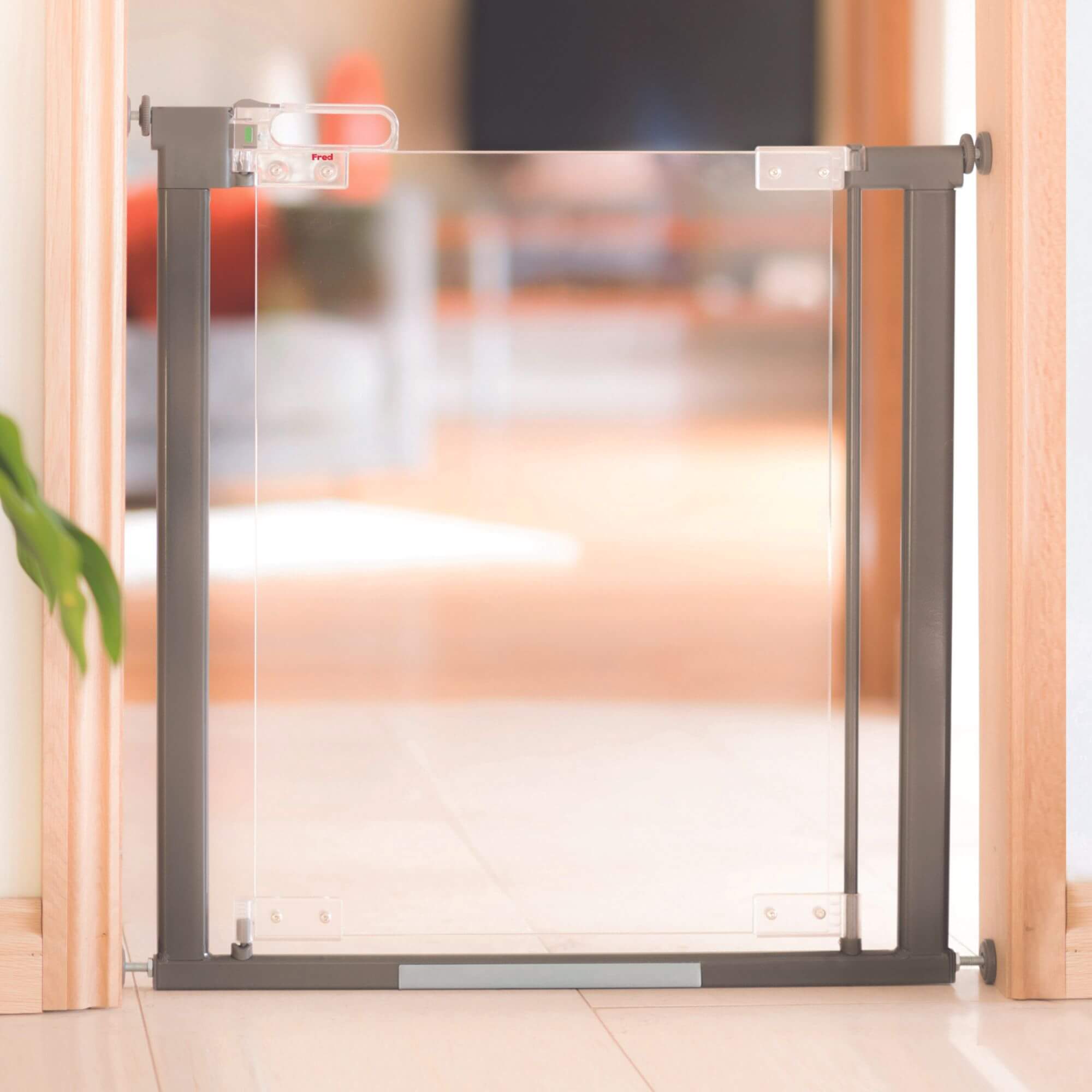 A transparent safety gate with a gray frame is installed in a doorway, blocking access to another room. A plant leaf is visible on the left side. The background is softly blurred.