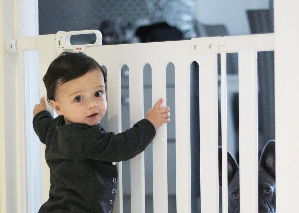 A toddler in a dark grey long-sleeve top stands behind a white stair gate, holding onto the bars. A black dog is visible through the gate on the right side.